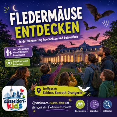 Fledermäuse entdecken, mit dem Schloss Benrath im Hintergrund und anderen interessanten Elementen.