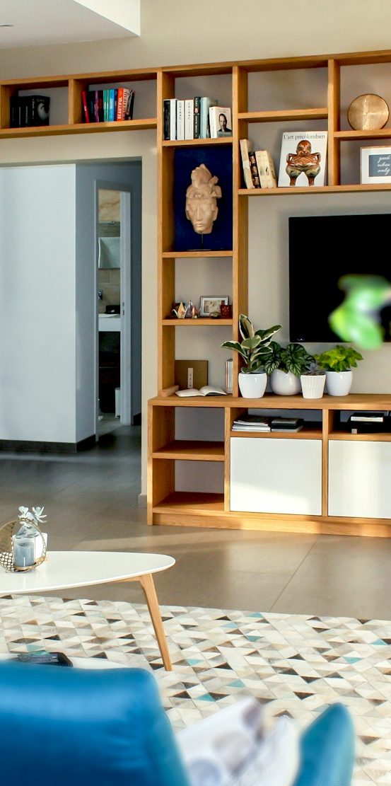 Praxisraum mit moderner Einrichtung, Bücherregal und TV, Pflanzen im Vordergrund.